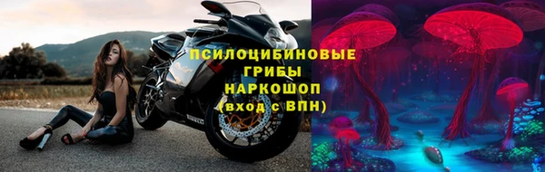 прущие грибы Киреевск