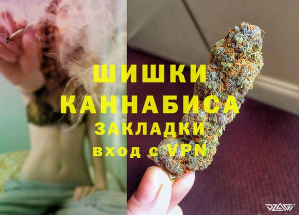 прущие грибы Киреевск