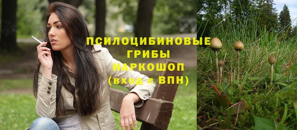 прущие грибы Киреевск