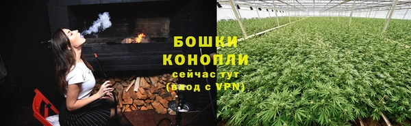 прущие грибы Киреевск