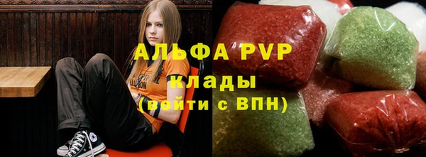 прущие грибы Киреевск